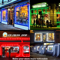 Module LED RGB Dream Color DC 12V SMD Adressable Étanche IP65 Façade Lights 5V Input Controller Switch Mode pour Paysage