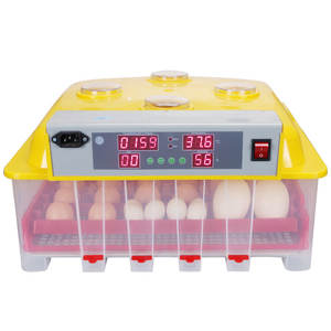 Mini œuf <span class=keywords><strong>d</strong></span>'<span class=keywords><strong>oie</strong></span> intelligent de petite taille, incubateur intelligent pour fabrication des œufs <span class=keywords><strong>d</strong></span>'<span class=keywords><strong>oie</strong></span>, <span class=keywords><strong>prix</strong></span> - Product Image 2