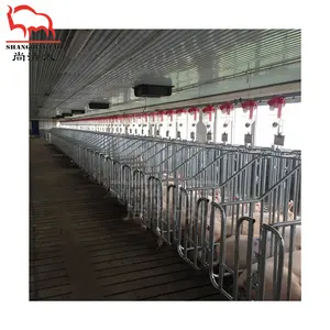 Filets de geste pour cochon, cages à animaux, projet agricole, produits chinois, vente en gros, personnalisées