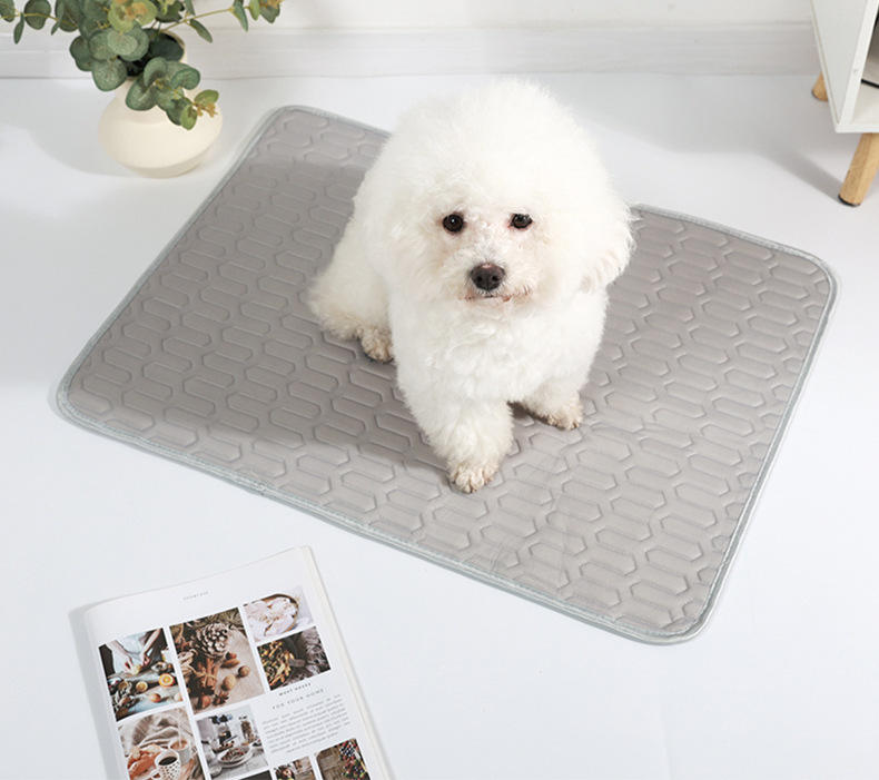 Wholesale Pet Pee Pad Reusable Non-slip Dog Training For Car Seat Cover Pet Supplies