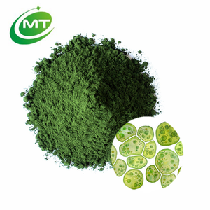Extrait de <span class=keywords><strong>Chlorella</strong></span> Vulgaris de poudre de <span class=keywords><strong>Chlorella</strong></span> Vulgaris de haute pureté 50% protéines pour les superaliments nutritifs et les soins de la peau - Product Image 1