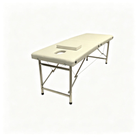 Table de massage professionnelle à 2 sections, pliable, avec pieds en acier inoxydable, lit de spa pour thérapie