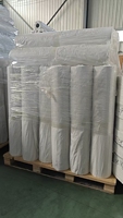 Rouleau de fond de gobelet en papier vierge recyclable imperméable à une face, enduit de PE de qualité alimentaire, pour la fabrication de gobelets en papier biodégradable