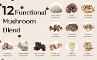 SWOOT OEM Gummies véganes aux champignons de haute qualité, améliorent l'immunité, complément sans gluten