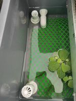Fruits de mer Aquarium Fish Tank PVC évent tuyau bouchon en plastique trop-plein raccord de tuyau accessoires piscine Pvc bouchon