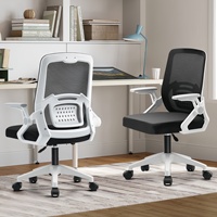 Chaise de bureau ergonomique confortable avec dossier en maille respirante, soutien lombaire et accoudoirs rabattables