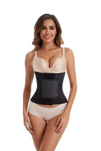 Ceinture de sudation amincissante King Mcgreen Star Wrap pour femme, grande taille, ceinture abdominale sculptante, bandage ventre plat, personnalisable avec LOGO - Product Image 5