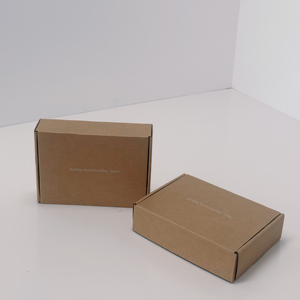 Tùy chỉnh kraft giấy sóng Hộp Thư Matte in bao bì hộp và giao thông vận tải Hộp quà tặng - Product Image 3