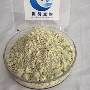 Extracto de Semilla de Calabaza de Grado Alimenticio, 60% Proteína Vegetal Orgánica en Polvo para Adultos, Beneficios para el Crecimiento Muscular y la Luminosidad de la Piel - Product Image 2