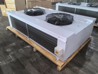 Beifeng Fabrieksleverancier Dh Dubbelzijdige Blaas Commerciële Verdamper Luchtkoeler Ventilator Verdamper Giet Voor Vriezer Kamer