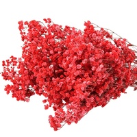 Buket Bunga Baby Breath Kering Alami Awet, Batang Gypsophila Asli Tahan Lama untuk Dekorasi Pernikahan dan Rumah DIY
