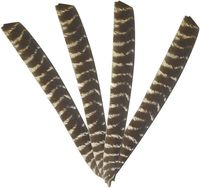 Véritable aile naturelle tir à l'arc flèche plume empennage aubes plume de dinde pour bricolage tir à l'arc chasse cible tir flèche accessoire