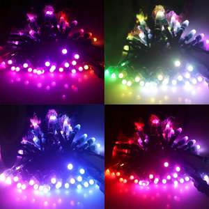 LED Pixel Intelligent DC12V WS2811 Bullet IP68 avec Câble Noir 18AWG et Connecteurs Ray Wu/Paul Zhang/Xconnect/DIY - Product Image 1