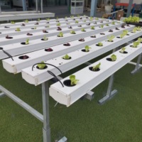 Système de culture hydroponique de laitues en serre agricole multi-travées avec canaux NFT en PVC pour la production végétale
