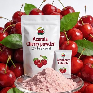 Polvo de Extracto Herbal de Acerola Silvestre, Grado Alimenticio, Certificado ISO9001, Empaquetado en Tambor para Bebidas, Alimentos y Uso OEM - Product Image 3