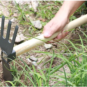 Wooden Handled Hoe 36Cm Steel Head For Gardening And Farming Tools - Product Image 4