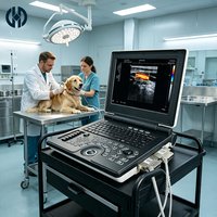 Oferta Especial: Ecógrafo Doppler Color Veterinario, Máquina de Ultrasonido Veterinario para Hospitales de Mascotas y Granjas de Cría de Ganado