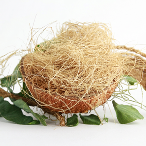 [ALTA CALIDAD] Bloque de Fibra de Coco BLUE LOTUS FARM, Ecológico, Ligero, con Orificios de Drenaje para Agricultura y Cultivo - Product Image 1