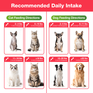 USMILE Suplementos para el Cuidado de la Salud de las Mascotas, Gotas de Vitaminas Líquidas para <span class=keywords><strong>Perros</strong></span>, 21 en 1, Suplementos Multivitamínicos y Vitaminas, Alimento para <span class=keywords><strong>Perros</strong></span> - Product Image 5