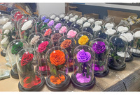 S0306 New Großhandel dekorative Blumen Muttertag Geschenk Konservierte Rose in Glaskuppel Ewige Rose zum Valentinstag