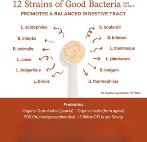 Venta al por mayor de etiqueta privada cuidado de la salud de mascotas y suplementos probióticos en polvo para perros y gatos que apoyan la salud intestinal y del sistema inmunológico - Product Image 2