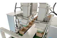 Machine de dessin animé de type vertical Machine d'emballage de cartons à vis personnalisés non standard