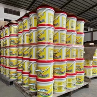 Lessive en poudre de haute qualité en seau de 5 kg, étiquette OEM gratuite, forte mousse, pour le marché nigérian