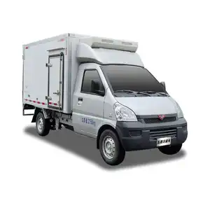 Grote Capaciteit Hoge Snelheid Wuling Kleine Koelkast Truck/Koelwagen Voor Bevroren Voedsel Transport Carrier Verse Groente En Melk