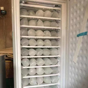 ตู้แช่แข็งแบบตั้งตรง198L DC 24V 11 Lays / 7 Lays ตู้แช่แข็งพลังงานแสงอาทิตย์พร้อมแผงและแบตเตอรี่ - Product Image 4