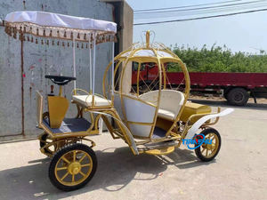 Calabaza Carro de <span class=keywords><strong>caballos</strong></span> Flotador eléctrico Rosa Blanco <span class=keywords><strong>Boda</strong></span> Vehículo eléctrico Sin <span class=keywords><strong>caballos</strong></span> Alta calidad Cenicienta Carro <span class=keywords><strong>para</strong></span> la venta - Product Image 5