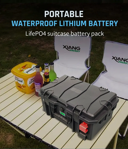 Batterie au lithium portable la plus vendue 24V 36V 48V 80Ah 100Ah 120Ah 150Ah 200Ah 300Ah en forme de valise - Product Image 5