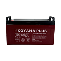 Baterai Gel Asam Timbal Siklus Dalam 12V120Ah untuk Sistem Panel Surya Terlaris di Nikaragua