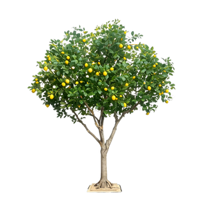 Árbol <span class=keywords><strong>de</strong></span> Limón Artificial Premium <span class=keywords><strong>de</strong></span> 3.8 Metros, Decoración para Restaurantes, Centros Comerciales y Salas <span class=keywords><strong>de</strong></span> Exposición, Planta Artificial con Frutos - Product Image 5