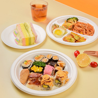 Assiette de salle à manger jetable biodégradable pour gâteau servant des plats et des assiettes écologiques