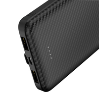 Batterie externe portable 2,4A 10000mAh pour bagages, chargeur USB avec entrée Micro USB, affichage LED, haute capacité 12W