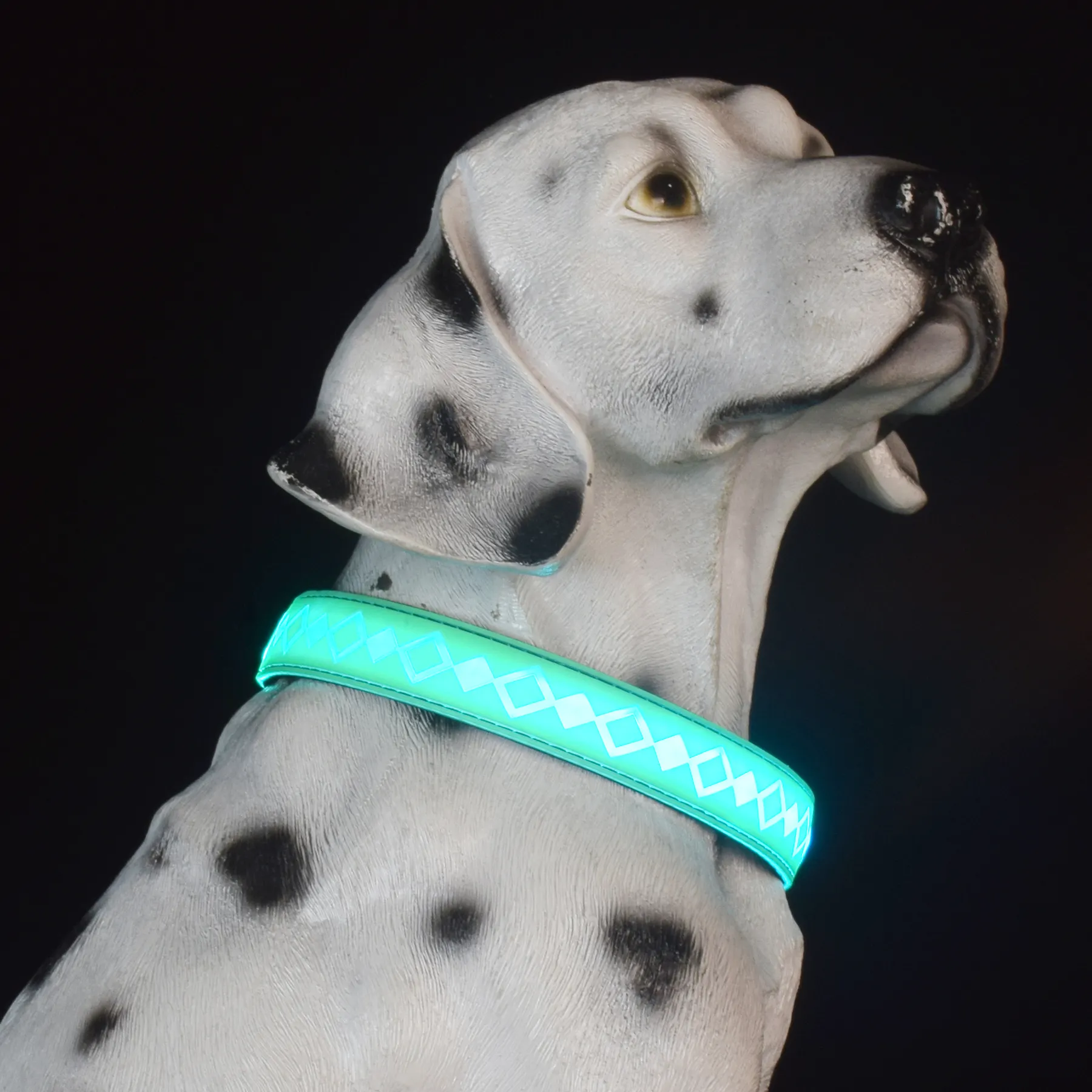 กระพริบ Light Up ปลอกคอสัตว์เลี้ยงแบบปรับได้ USB Type-C ชาร์จหรูหรา LED สุนัข Luminous ปลอกคอสําหรับสุนัข