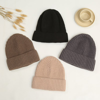 Casquette en tricot personnalisée OEM, style streetwear, avec logo brodé 3D, imprimé en couleur, pour adulte, chaude et de haute qualité