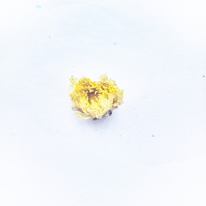 TE DE HIERBA ORGANICO, TE DE CRISANTEMO DE TONGXIANG, CRISANTEMO SECO A GRANEL - Product Image 5