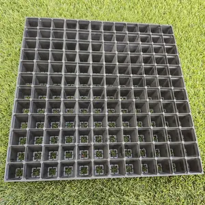 Wheatgrass Extra Strength Durable Wheatgrass Microgreen Hydroponic Tray 1020 Plant Growing Seedling Trays