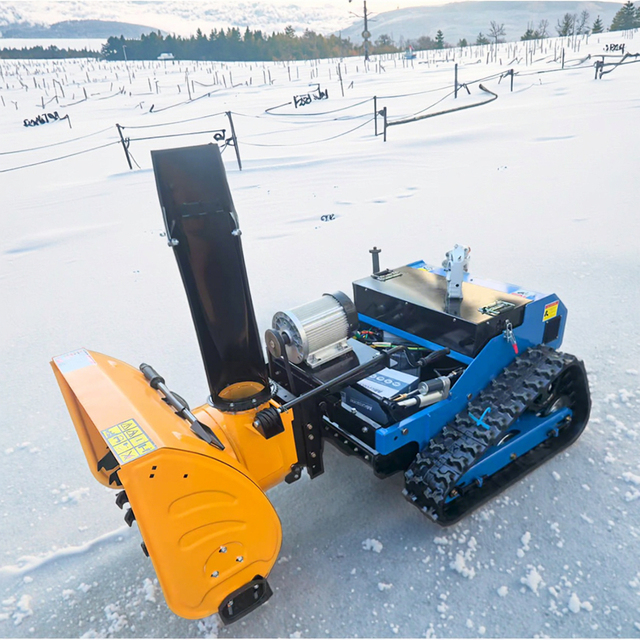 China Brand All Terrain Robot Lawn Mower Cordless Track Type Snow Sweeper Lawn Mower Farm Autonomous Electric Start Lawn Mower