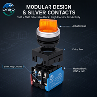 Interruttore a Pulsante in Plastica LVBO 10A 240V 1NO1NC IP67 Modello di Controllo Elettronico LB38E