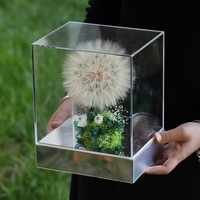 Geconserveerd paardenbloementerrarium in acryl doos - Eeuwige wens bloemendecoratie