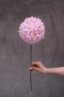 Boules d'œillets artificielles en plastique, pompons, technique de teinture, décoration pour photographie extérieure, mariage, maison, hôtel, ameublement doux