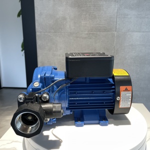 Pompe à eau électrique auto-amorçante domestique 2023 - Product Image 3