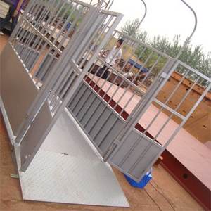 किंगटाइप पशुधन स्केल/मवेशी वजन स्केल/सुअर स्केल - Product Image 3