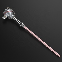 Termokopel Platinum Rhodium Tipe S/B/R Dengan Tabung Probe Pelindung Keramik Sensor Suhu Tinggi