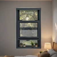 Fenêtre à double battant en aluminium durable et économique avec quincaillerie standard pour immeuble d'appartements locatifs