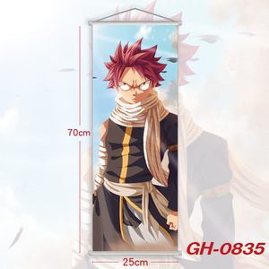 12 Designs Haute Qualité Japon Anime Fée Etherious Natsu <span class=keywords><strong>Dragneel</strong></span> Peintures Suspendus Tissu Affiche Mur Défilement Affiche - Product Image 4
