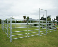Paneles de Cerca para Ganado y Caballos de Metal Galvanizado con Estructura Estable