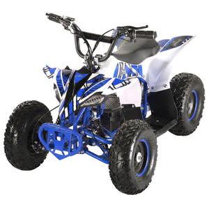 Nuevo Modelo 2025, Cuatrimoto Eléctrica para Niños de 800W, Diseño Mini Raptor, Cuatrimoto de Alta Calidad de 4 Ruedas para Niños - Product Image 1